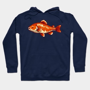 pixelated fish Hoodie